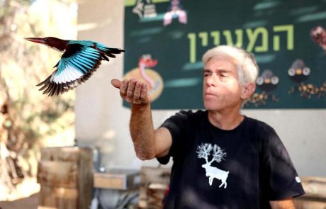 כ- 55 אלף מטיילים/ות פקדו את שמורות הטבע והגנים הלאומיים בשבת