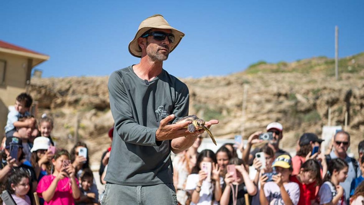 הצבים יריב, דונטלו וצחי ניצלו, טופלו ושוחררו בחזרה לים