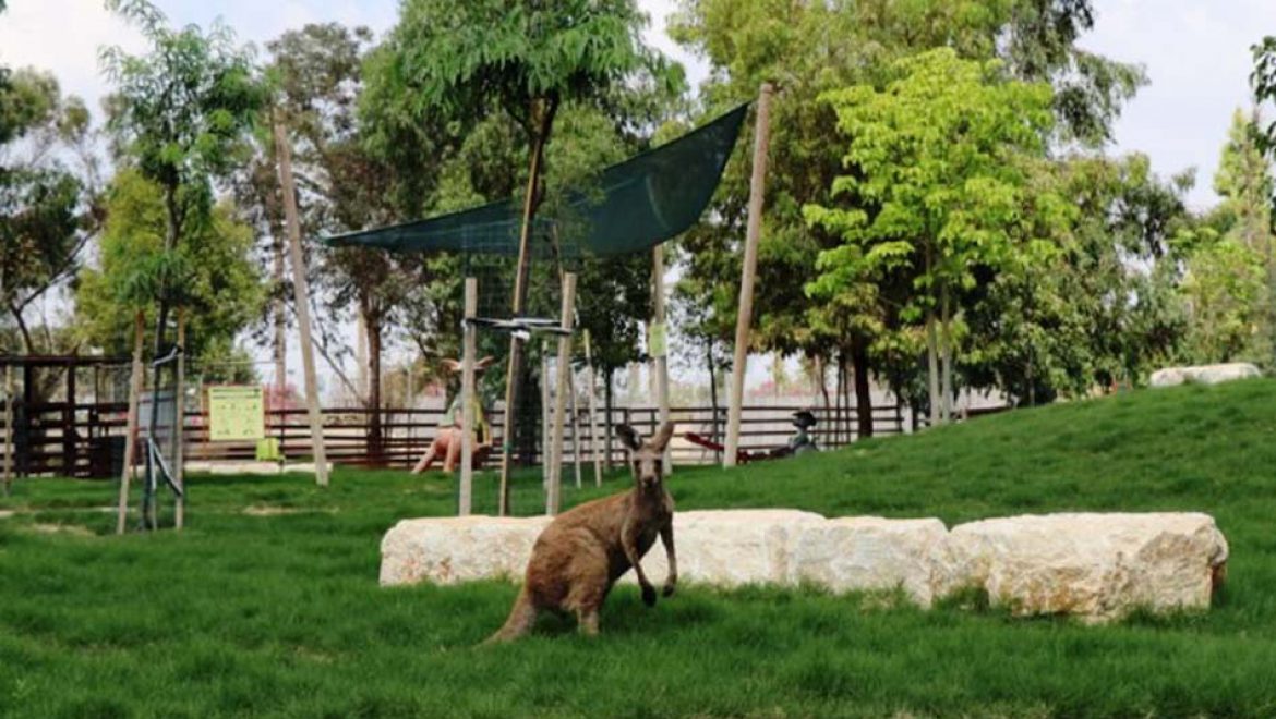 גן גורו: ראש השנה 2022 בסימן התחדשות בגן החיות האוסטרלי