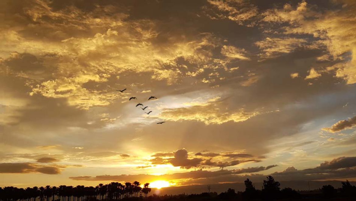 סיור זריחה “מחושך לאור” לסיום חג חנוכה בפארק המעיינות