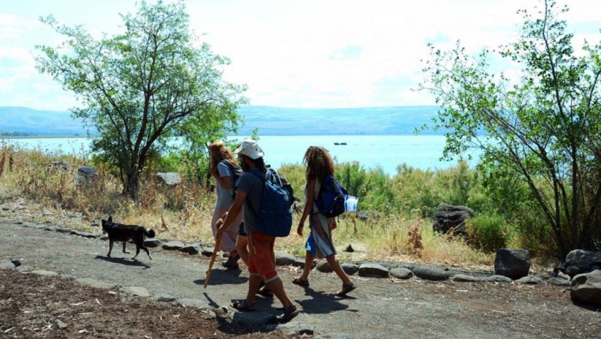 מגשר אריק לכפר נחום: מסלול טיול משפחתי מומלץ ב”שביל סובב כינרת”