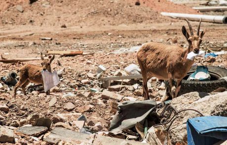 חד פעמי – לא בטבע שלי!