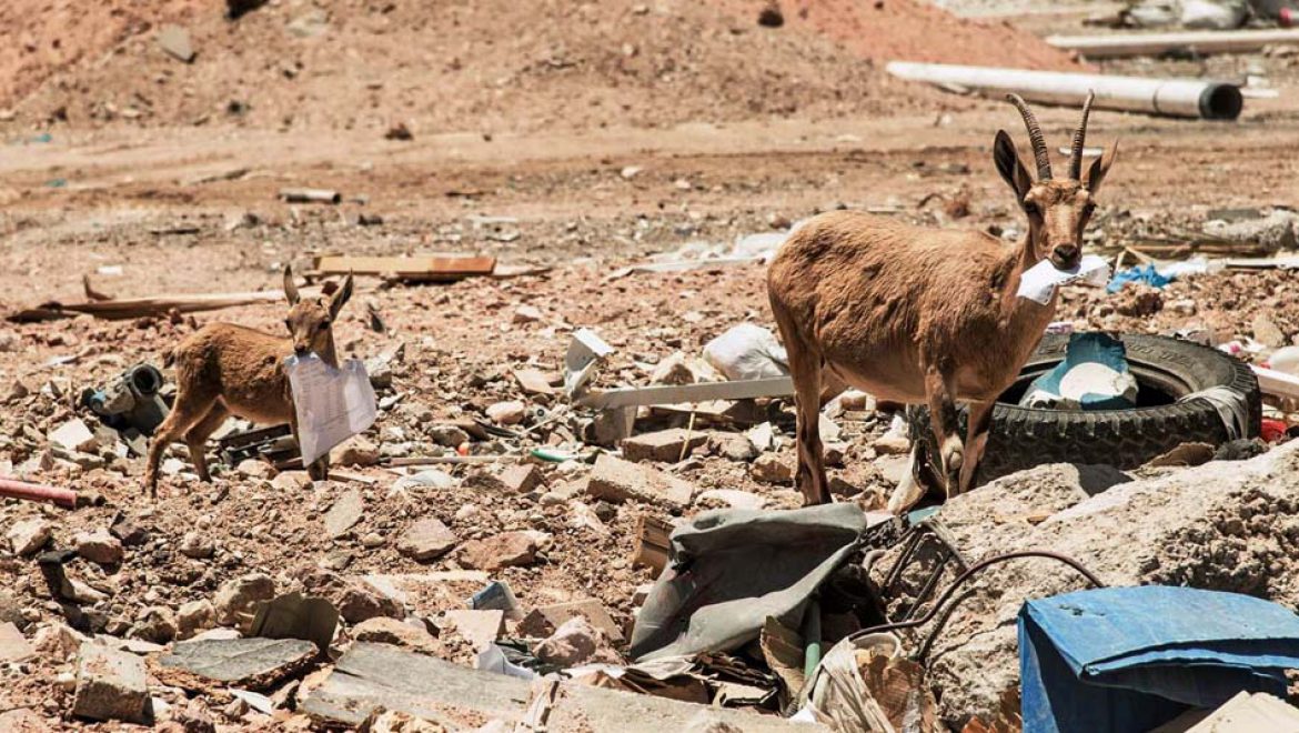חד פעמי – לא בטבע שלי!