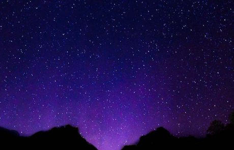 מסע בין כוכבים לכל המשפחה