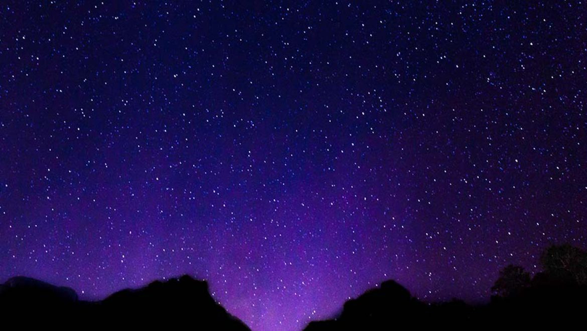 מסע בין כוכבים לכל המשפחה