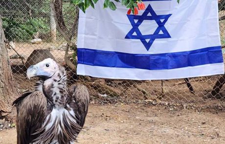 הצצה לספארי ר”ג בתקופת המלחמה