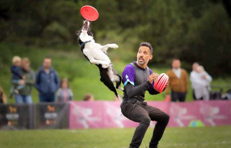 כלבלב הו בי די בם בם: פסטיבל ט”ו בהב בחגיגה מטורפת “להורים לכלבים”