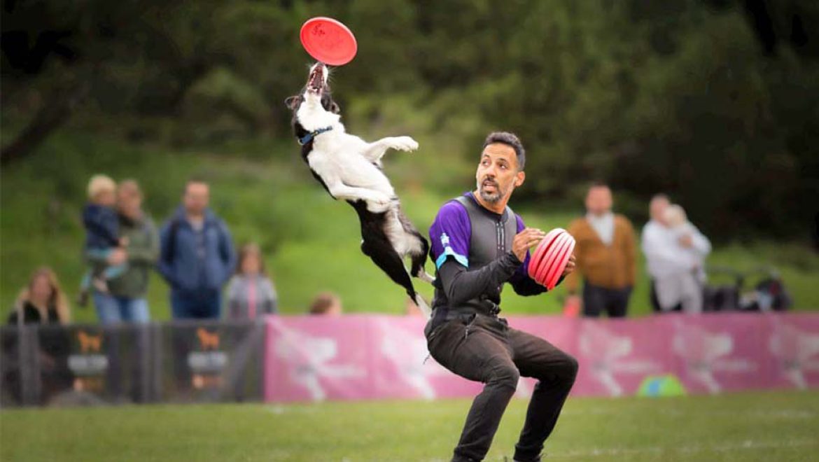 כלבלב הו בי די בם בם: פסטיבל ט”ו בהב בחגיגה מטורפת “להורים לכלבים”