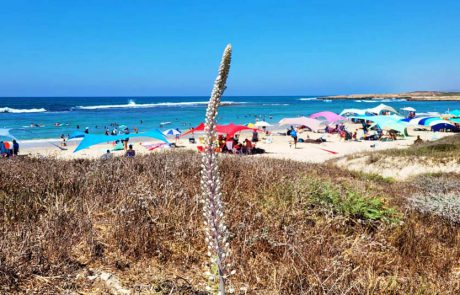 בחגי תשרי המשפחות מטיילות נכון וחוזרות בבטחה ובשלום