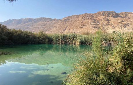 עינות צוקים: סיורים מיוחדים בשמורת הטבע החבויה