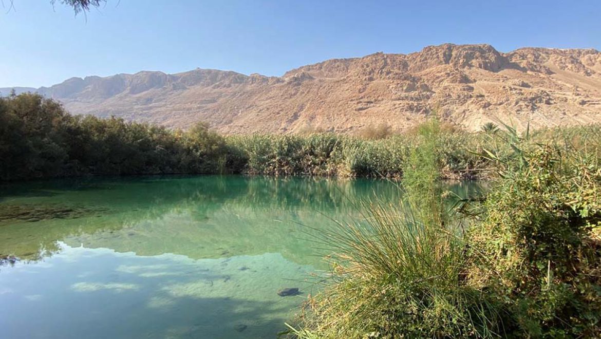 עינות צוקים: סיורים מיוחדים בשמורת הטבע החבויה