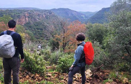 שבת נעימה משכה עשרות אלפי מטיילים לאתרי הטבע