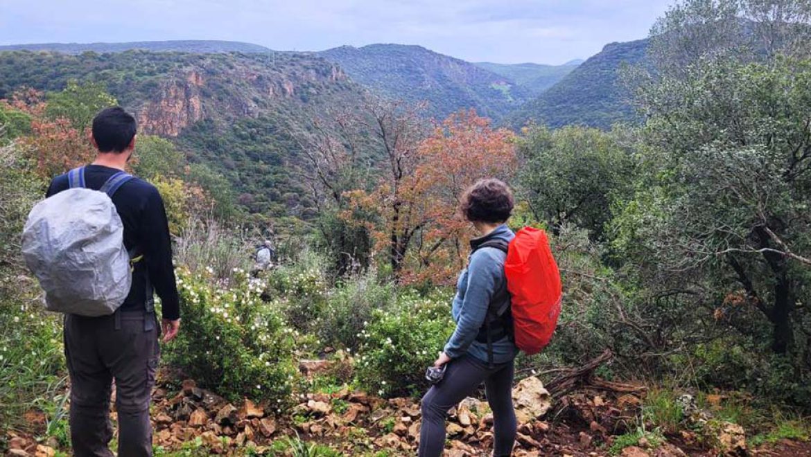 שבת נעימה משכה עשרות אלפי מטיילים לאתרי הטבע