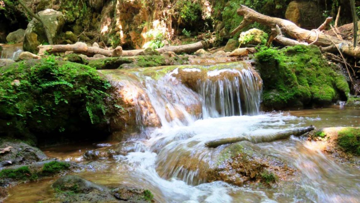 טיול משפחתי למרגלות הר מירון בנחל עמוד עליון