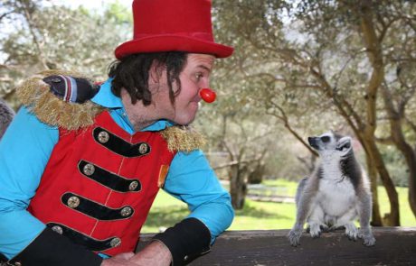 חנוכה משפחתי בגן החיות התנ”כי ובאקווריום ישראל