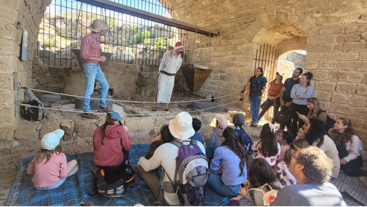 פעילות חורף משפחתית בנחל תנינים