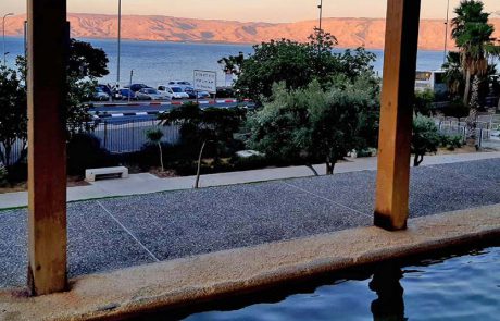 “לגלות אוצר בסיור קצר”: חגיגה של חורף בגן לאומי חמת טבריה