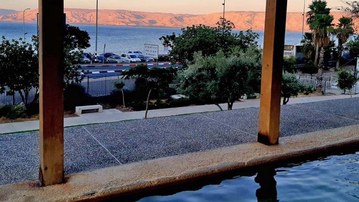 “לגלות אוצר בסיור קצר”: חגיגה של חורף בגן לאומי חמת טבריה