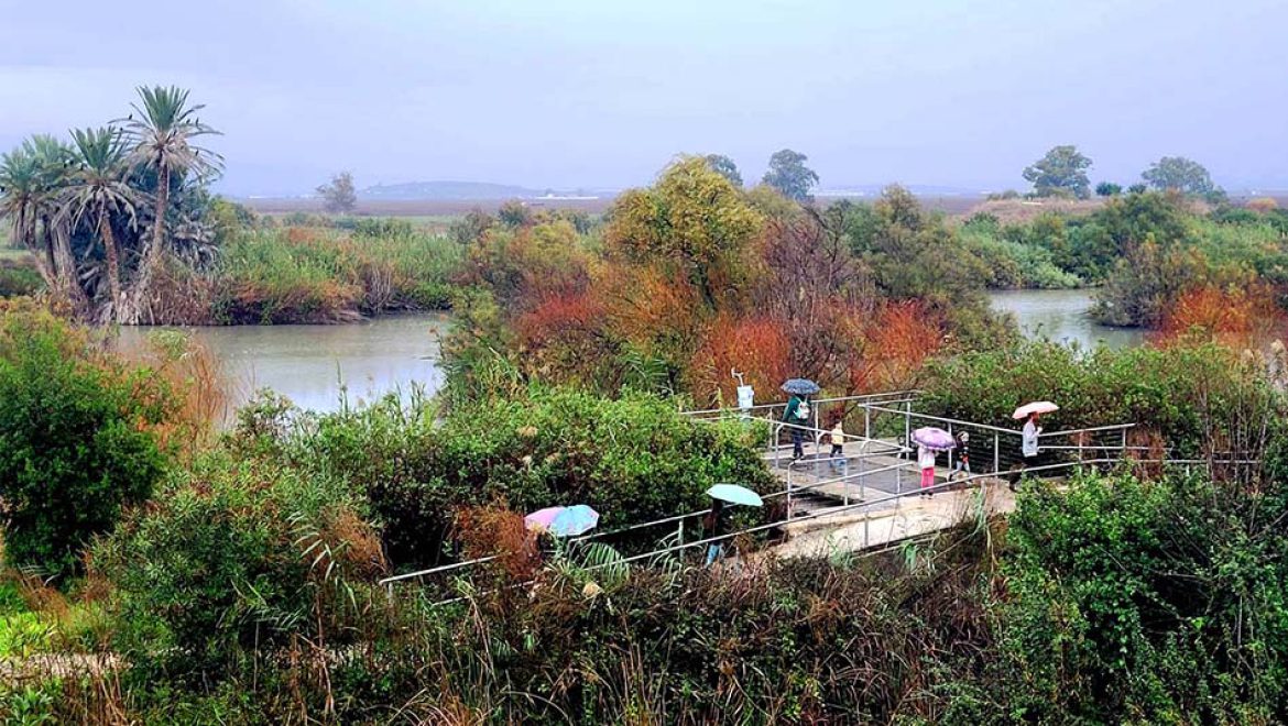 “כולנו אור איתן”: פעילויות למשפחות בחג החנוכה