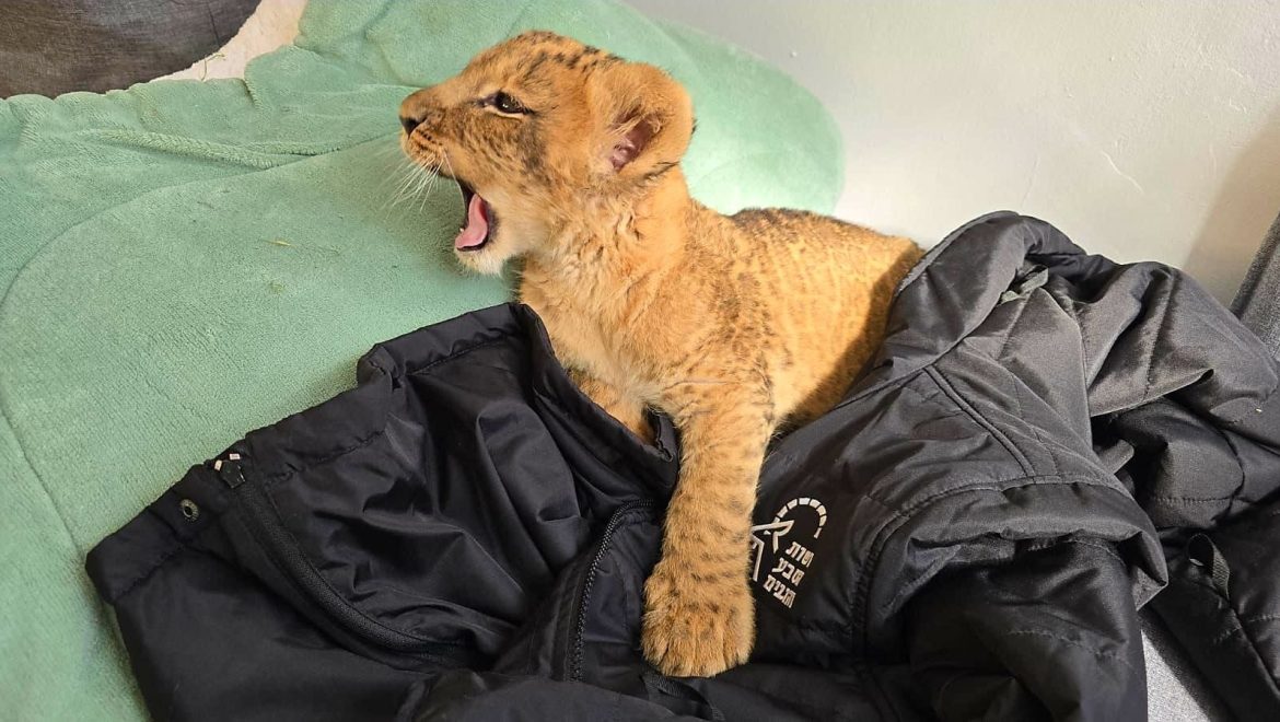 להפסיק ההתעללות בחיות הבר ובבעלי חיים בכלל!