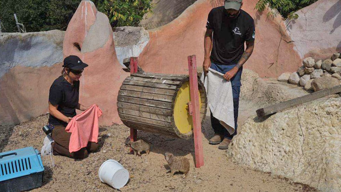 מבצע חילוץ והצלה תחת אש, לחיות הבר מהעוטף