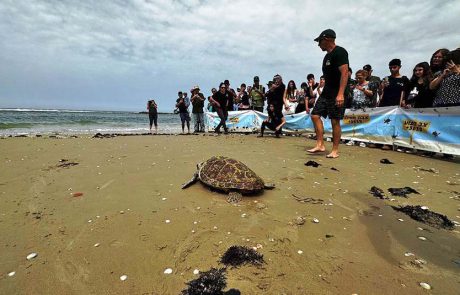חסקה חוזרת הביתה, לים