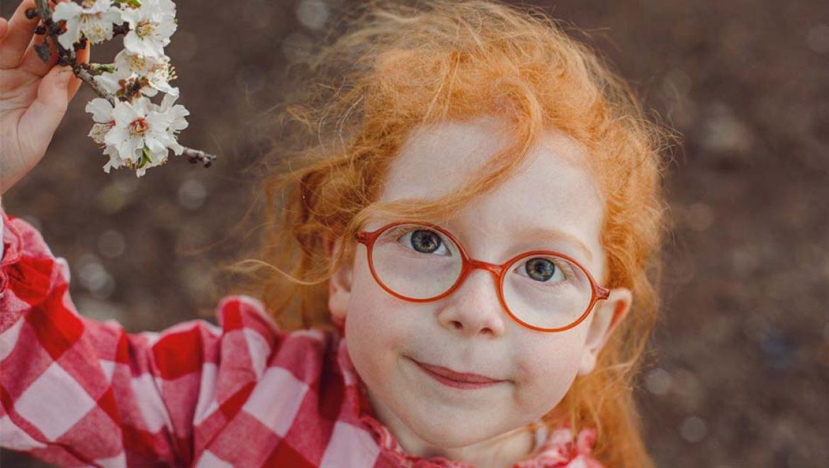 פעילויות משפחתיות לט”ו בשבט 2024 בגולן