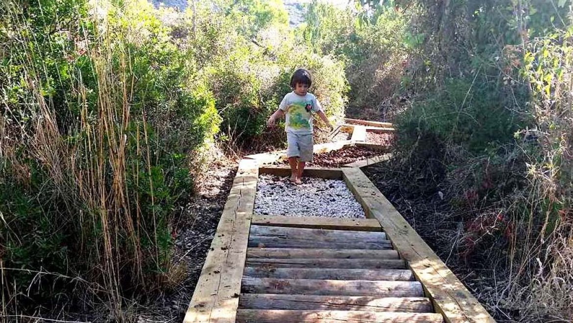 ללכת בעקבות הטבע: פארק החושים ושביל הרגליים היחפות