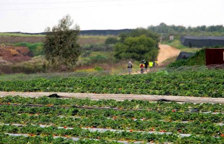 מחזקים בשרון את התיירות והטיילות בישראל