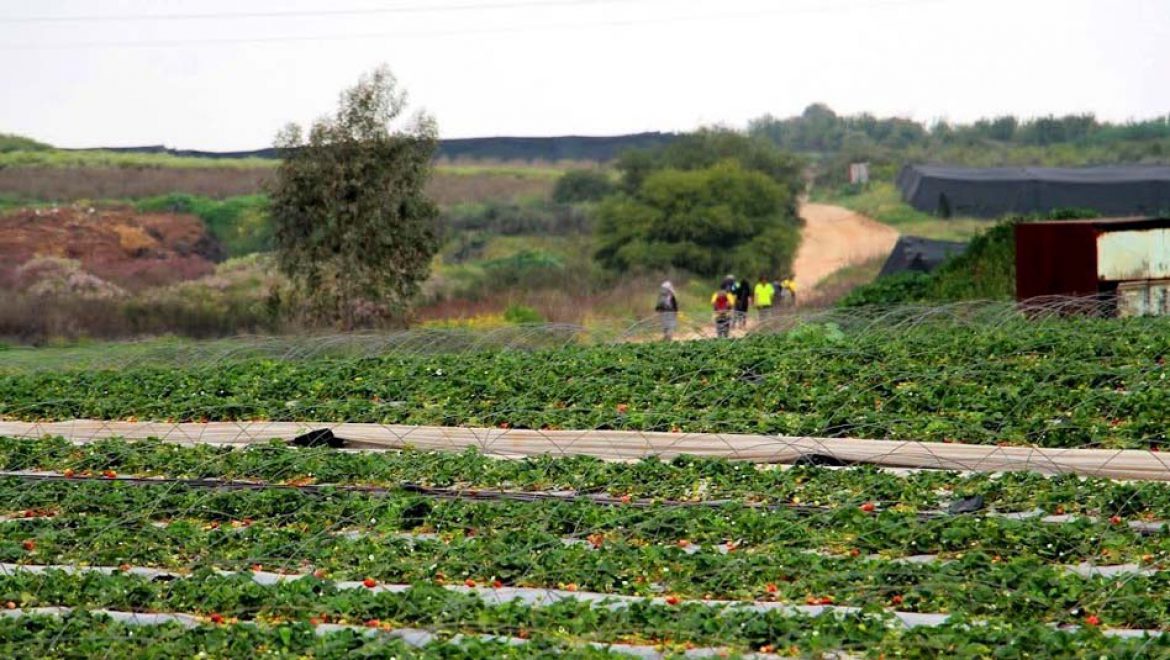 מחזקים בשרון את התיירות והטיילות בישראל