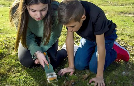 משחקים ולומדים בחגים: פעילויות חווייתיות לילדים בזמן החג