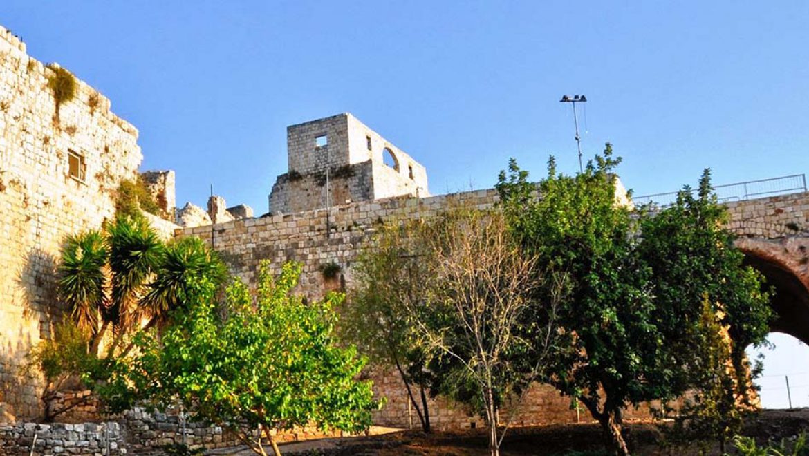 עצמאות משפחתית בביקור באתרי מורשת קרב