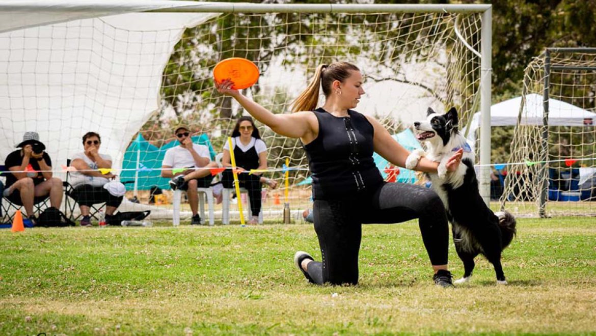 ביום הכלב הבינלאומי, עמותת S.O.S  חיות וביופט עורכות הפנינג אימוץ