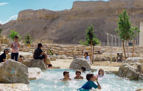 פסטיבל לכל המשפחה במועצה האזורית תמר