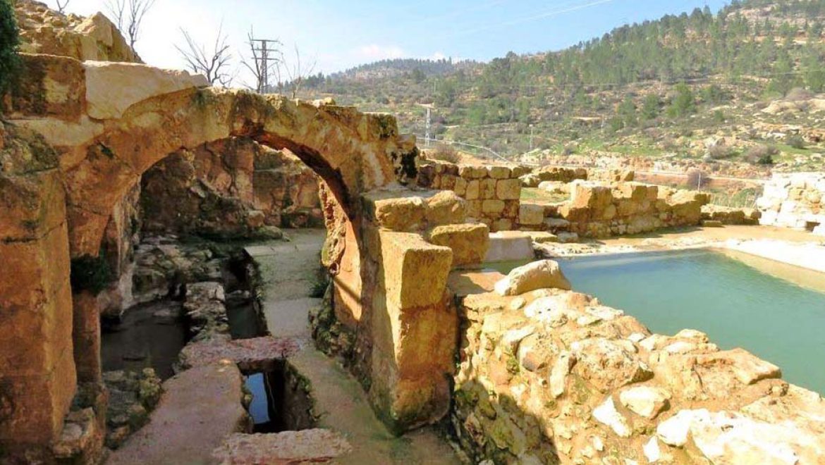 טיול בטבע בחורף הישראלי: מוסקים זיתים בעין חניה