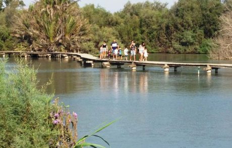 המשפחות מטיילות בשבת ברחבי הארץ