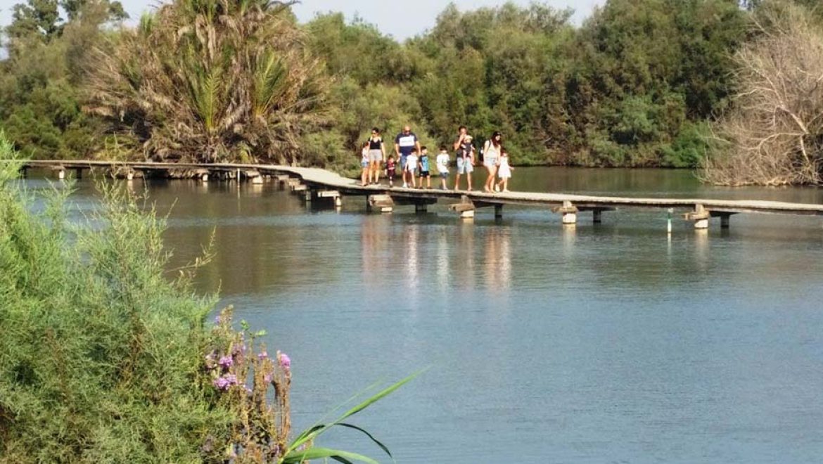 המשפחות מטיילות בשבת ברחבי הארץ