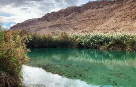 גם השבת יצאו המשפחות לטייל במרחבי ישראל