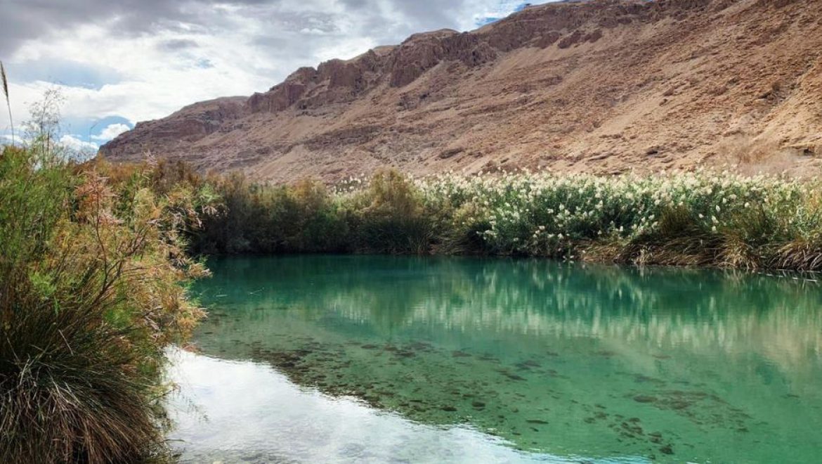 גם השבת יצאו המשפחות לטייל במרחבי ישראל