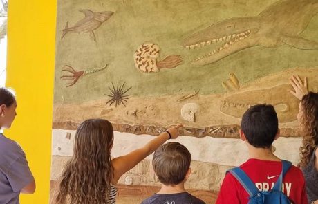 ‘ביחד במדע’: יום המדע הישראלי בערבה התיכונה והשקת קיר מאובנים