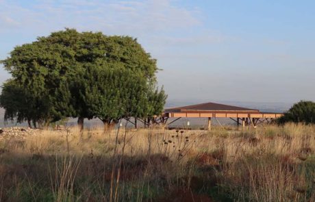 כל המשפחה משתתפת במרדף, במרחבי בריחה של רשות הטבע והגנים