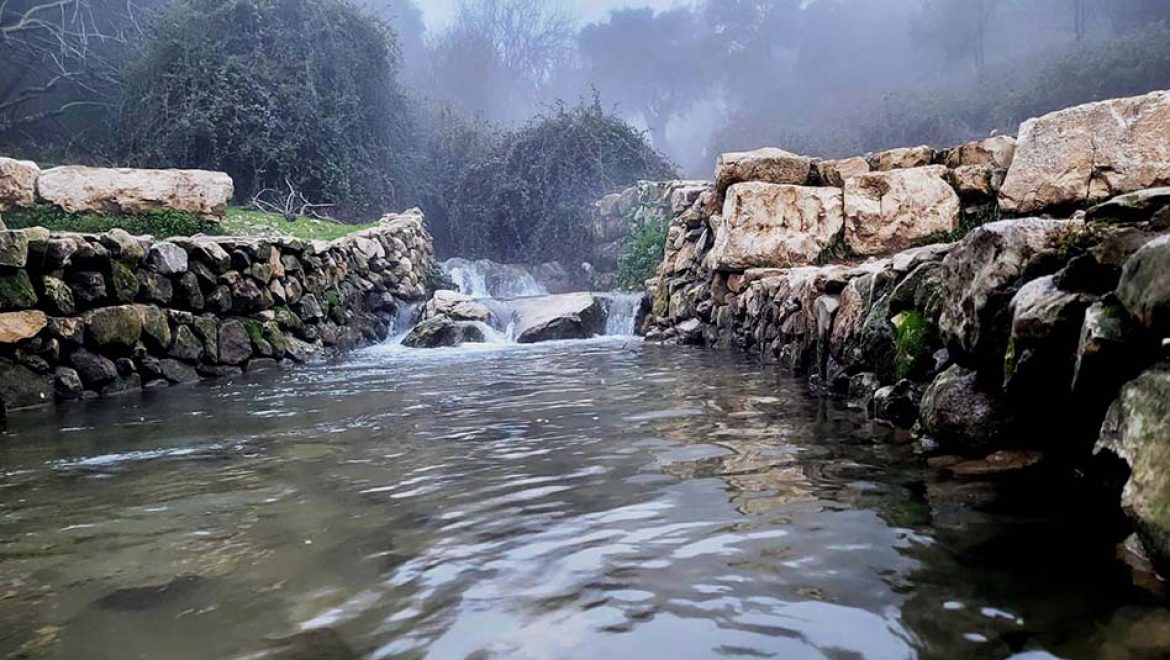 המלצה לטיול משפחתי קסום וקליל בנחל ראש פינה