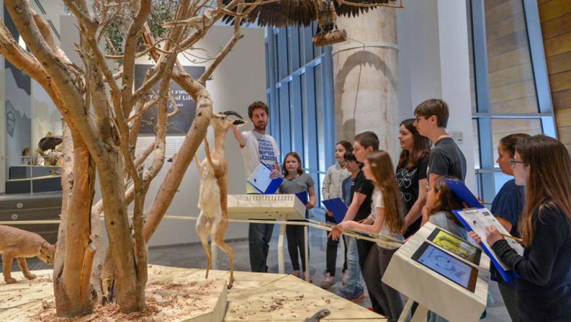 העונה החמה: קיץ לכל המשפחה במוזיאון הטבע ע”ש שטיינהדרט בת”א