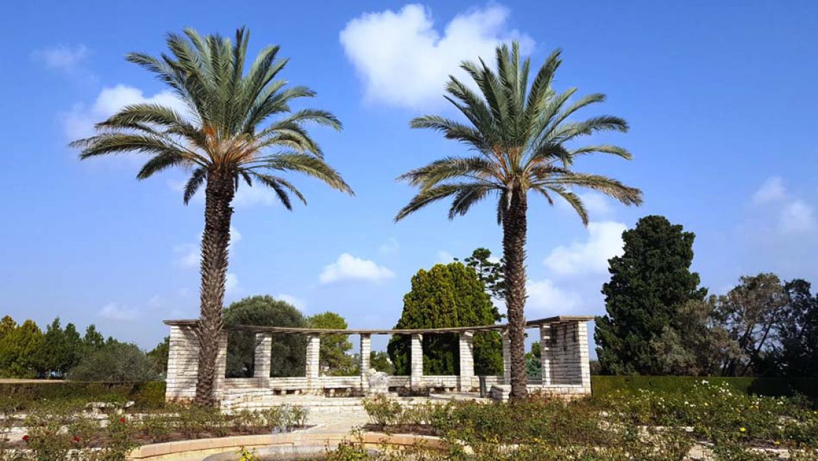 רמת הנדיב: מפגש קסום בין אדם, טבע וסביבה