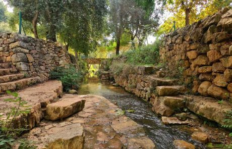 טיולים בטבע בשעות הזהב במסגרת “טבע זום אין”