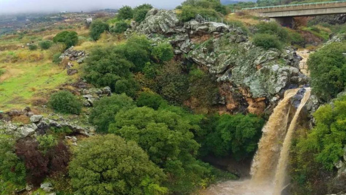 טיול חורפי ביום שמשי בגולן הפורח