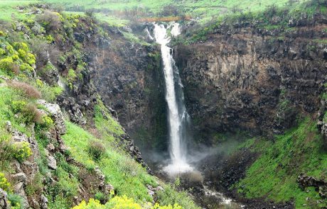 פותחים את 2022 בטבע הישראלי: טיולי חורף חווייתיים לכל המשפחה