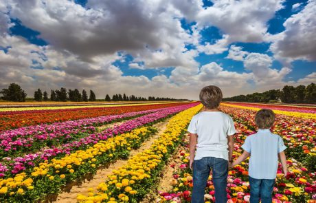 בחנו את עצמכם: כמה אתם מכירים את מסלולי הטיולים בארצנו