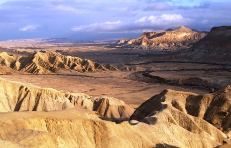 פעילויות לכל המשפחה באיזור שדה בוקר