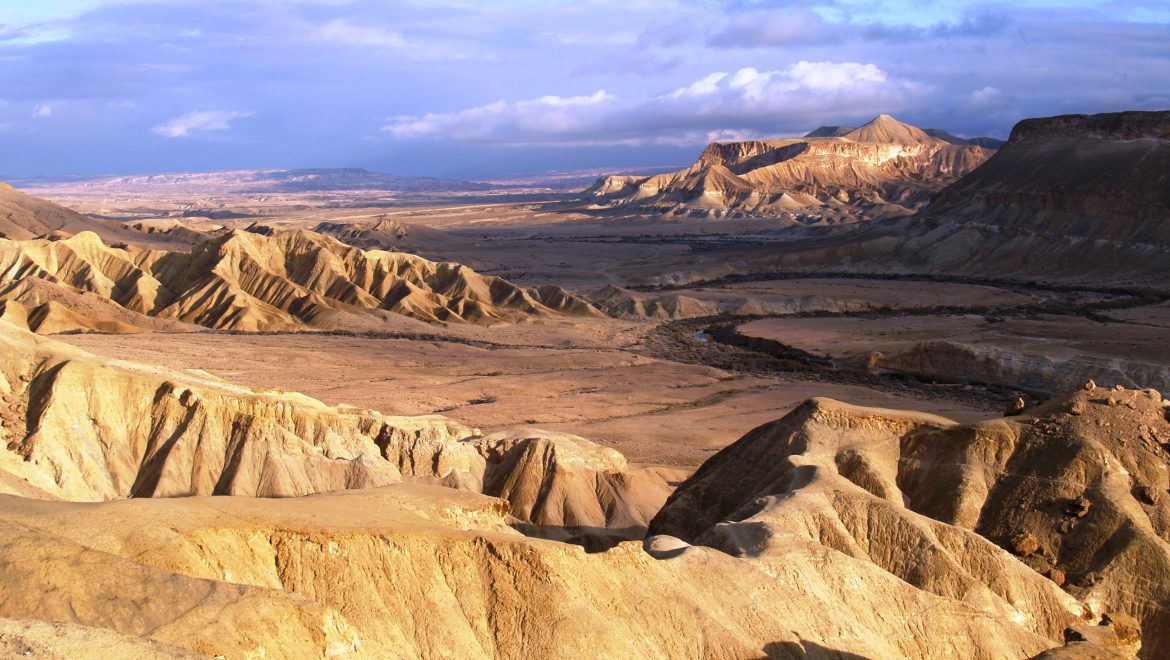 פעילויות לכל המשפחה באיזור שדה בוקר